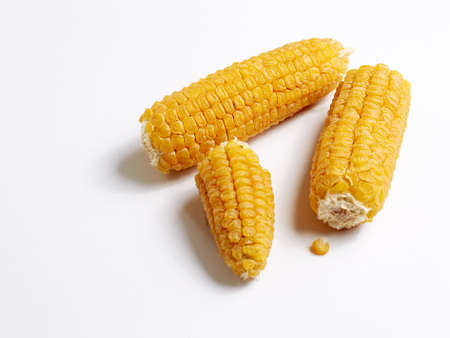 Yellow corn seeds on the cob several pieces on a white background.