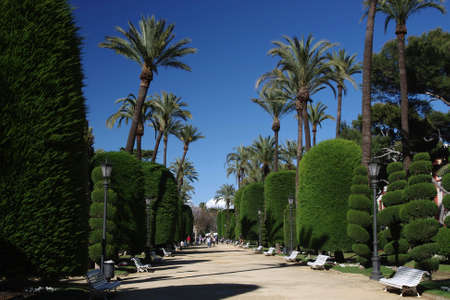 Alley in the Genoves Park  Cadiz のeditorial素材