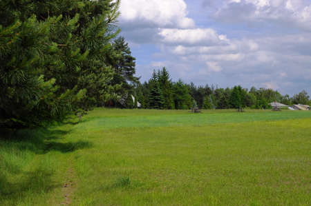  Forest path to a small village, Malopolska, Polandの写真素材