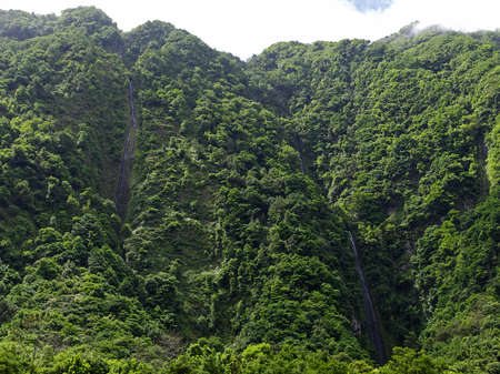 Waterfalls among rainy forest, Madeiraの写真素材