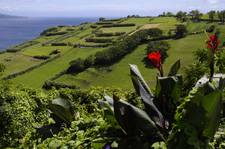 The picturesque views of the Faial island, Azoresの写真素材
