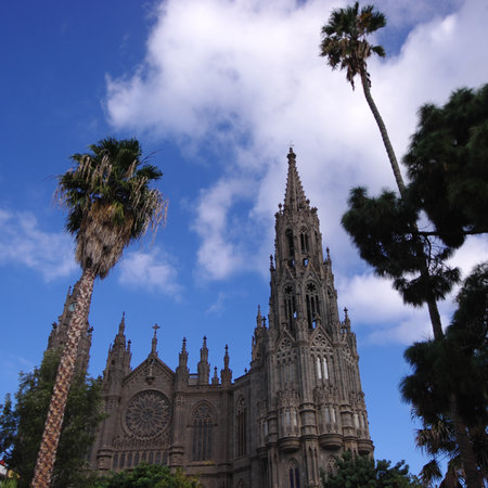 Cathedral in the shadow of of palm trees  Arucas  Gran Canariaの写真素材