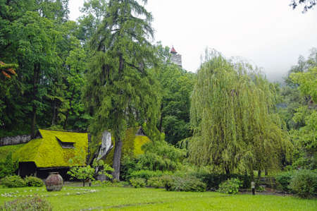 Beautiful cottage with grassy roof under the Bran castle, Brasov district, Romaniaのeditorial素材