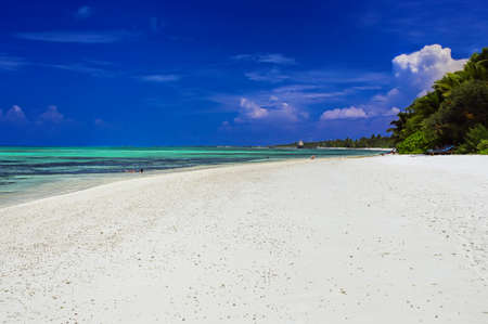 The sunny tropical beach on Maldives island