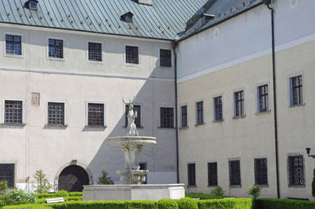 The deer in the courtyard of castle Cerveny Kamen from 16th century in Little Carpathians Mountain, Slovakia.のeditorial素材