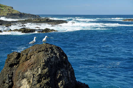 Natural pool in Garachico, Tenerife Island, Canary, Spainの写真素材