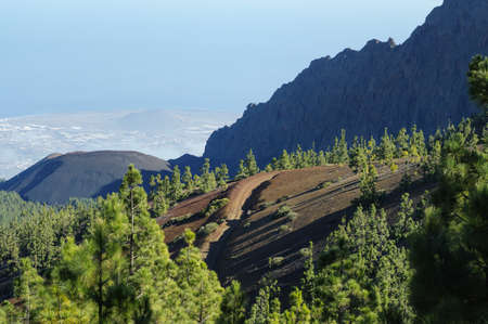 El Teide National Park, Tenerife, Canary Islands, Spainの写真素材