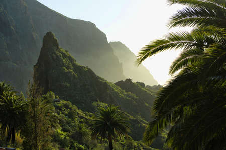 Masca Village in Tenerife, Canary Islands, Spainの写真素材