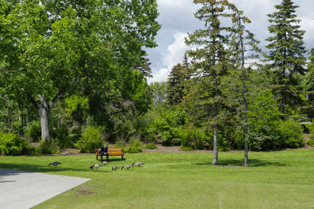 CALGARY, CANADA - MAY 26: Prince's Island Park view taken from on May 26, 2016 in Calgary, Alberta Canada.の写真素材