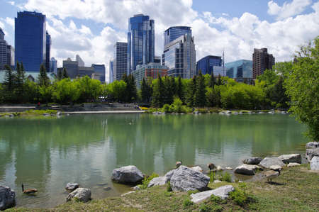 CALGARY, CANADA - MAY 26: Modern Downtown view taken from the park on May 26, 2016 in Calgary, Alberta Canada.のeditorial素材