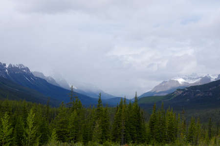 Icefield Parkway in Jasper National Park, Alberta, Canadaのeditorial素材