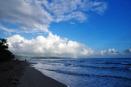 LA DIAMOND, MARTINIQUE, FRANCE - DECEMBER 31: People walk about the La Diamond Beach on December 31, 2016 Martinique Island, Lesser Antillesのeditorial素材