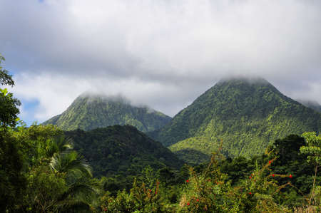 The misty twin peaks - view from the tropical  garden of Balata, France, Martinique, Lesser Antillesの写真素材