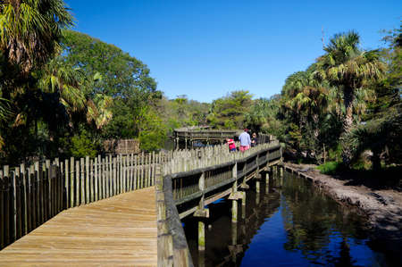 ST AUGUSTINE, FLORIDA, US - OCTOBER 25, 2017 - People walking on the wooden boardwalk in the Alligators farm in St. Augustine on October 25, FL, USAのeditorial素材