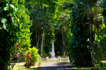PORT LOUIS/ MAURITIUS - AUGUST 14 2018: The Sir Seewoosagur Ramgoolam Botanical Garden. This is a popular tourist attraction and the oldest botanical garden in the Southern Hemisphere.のeditorial素材