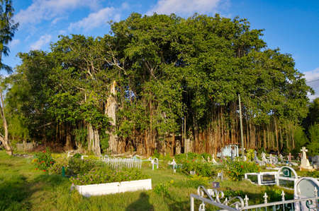 CAP MALHEUREUX / MAURITIUS - AUGUST 13, 2018: Traditional cemetery at the coast of Cap Malheureux, Mauritius islandのeditorial素材