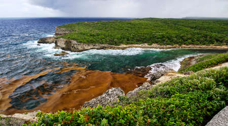 The Pointe de la Grande-Vigie is located at the north of Grande-Terre in Guadeloupe, French Antilles, Caribbean. The high cliffs of 80 meters, creating a spectacular and wild landscape.の写真素材