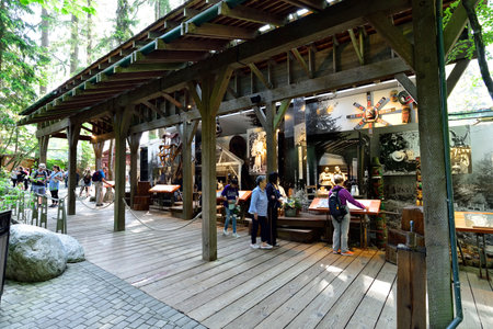 VANCOUVER, BRITISH COLUMBIA, CANADA, MAY 31, 2019: Visitors exploring the Capilano River Regional Park in North Vancouver, Capilano is famouse for Suspension Bridge is 460 feet long and 230 meters above the river.のeditorial素材