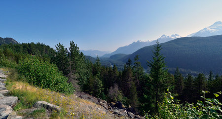 The Coastal Mountains in British Columbia. Canadaの写真素材