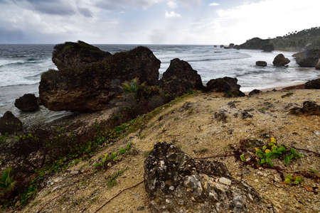 Stormy weather above famous rocks formation on the beach of Bathsheba, East coast of island Barbados, Caribbean Islandsの写真素材