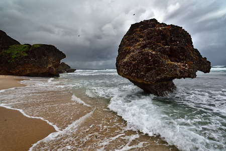 The rocks formation on the beach of Bathsheba, East coast of island Barbados, Caribbean Islandsの写真素材