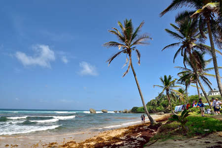 BATHSHEBA, BARBADOS; February 23, 2020: People on the beach of Bathsheba, East coast of island Barbados, Caribbean Islandsのeditorial素材