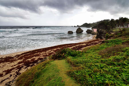 Stormy weather above famous rocks formation on the beach of Bathsheba, East coast of island Barbados, Caribbean Islandsの写真素材