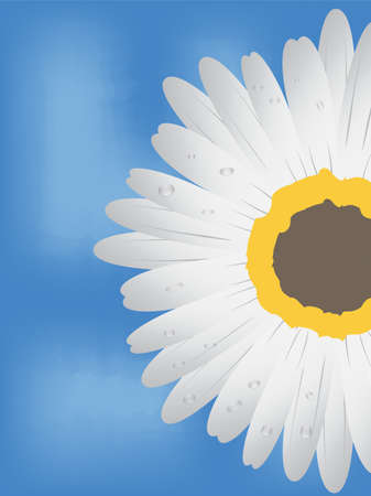 White flower with water droplets on blue and white background.のイラスト素材