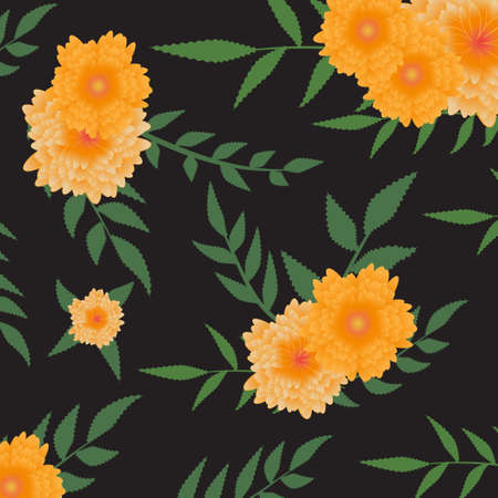 Marigold pattern. Vector drawing