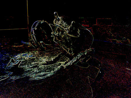 fauna IIIの写真素材