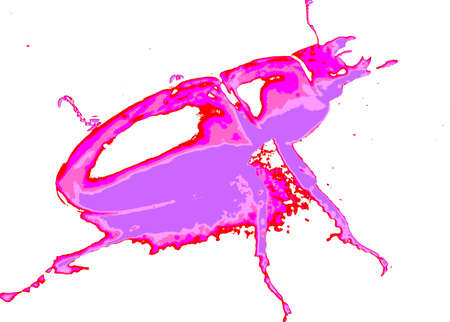 Beetle  のイラスト素材