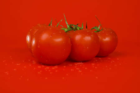 Branch of tomatoes with drops on surfaceの写真素材