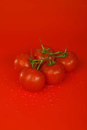 Branch of red tomatoes with dropsの写真素材
