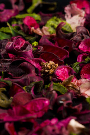 Herbarium is made of flower's petal and leavesの写真素材