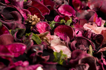 Herbarium made from rose petalsの写真素材