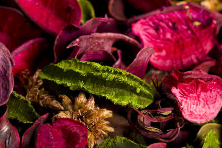 natural herbarium is made of different flowerの写真素材