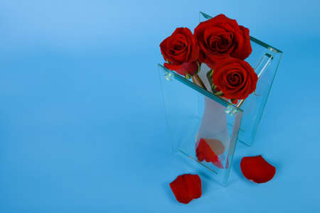 Three red roses are in a glass vase and petalsの写真素材