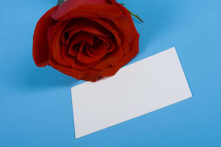 Note and red rose isolated blueの写真素材