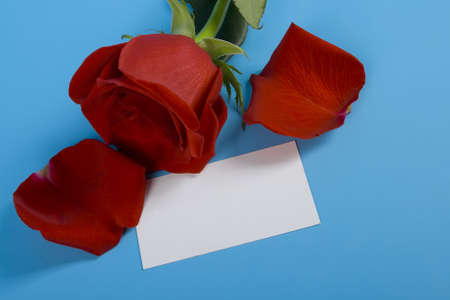 Red rose and petal with noteの写真素材