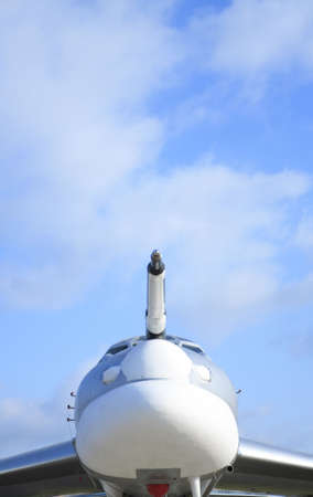 Military airplane like cowfishの写真素材