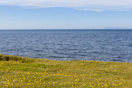 Laconic Iceland landscape. Three layers of green meadow filled with yellow dandelions, deep blue Atlantic ocean and light blue clear sky. Beautiful summer landscape in Iceland.の写真素材