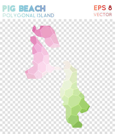 Pig Beach polygonal map designのイラスト素材
