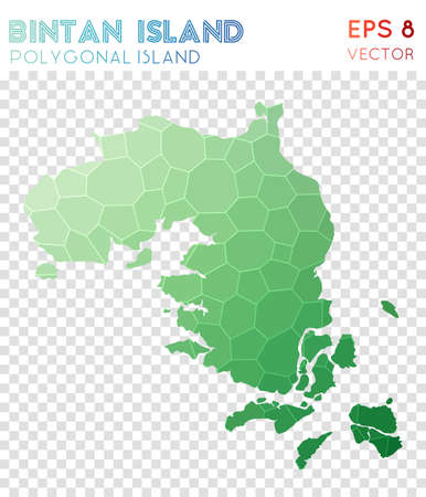 Bintan Island polygonal map, mosaic style island. Incredible low poly style, modern design. Bintan Island polygonal map for infographics or presentation.のイラスト素材