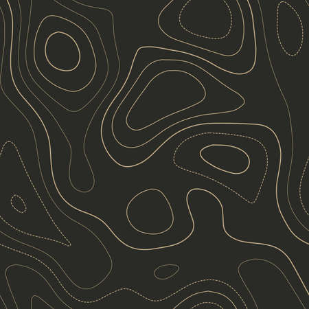 Terrain topography. Admirable topography map. Seamless design. Divine tileable isolines pattern, vector illustration.のイラスト素材