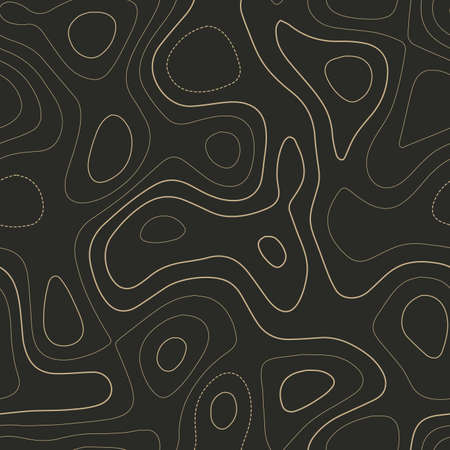 Topographic map lines. Actual topography map. Seamless design. Memorable tileable isolines pattern, vector illustration.のイラスト素材