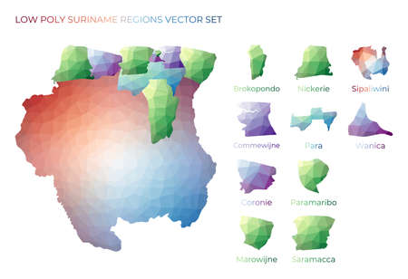 Surinamer low poly regions. Polygonal map of Suriname with regions. Geometric maps for your design. Stylish vector illustration.のイラスト素材