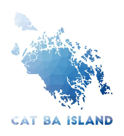 Low poly map of Cat Ba Island. Geometric illustration of the island. Cat Ba Island polygonal map. Technology, internet, network concept. Vector illustration.のイラスト素材