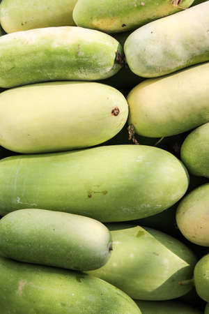fresh winter melons on the floorの写真素材