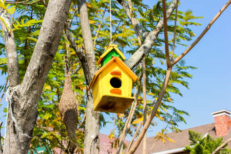 Beautiful bird house ofyellow color on the treeの写真素材