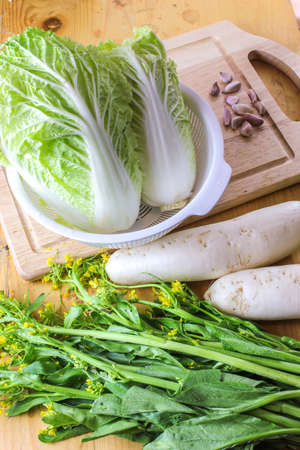 fresh vegetables Chinese cabbage white radish and choy Sum